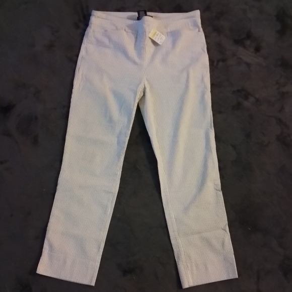 HILARY RADLEY WOMENS SIZE 6  LINED PANTS - Picture 4 of 4